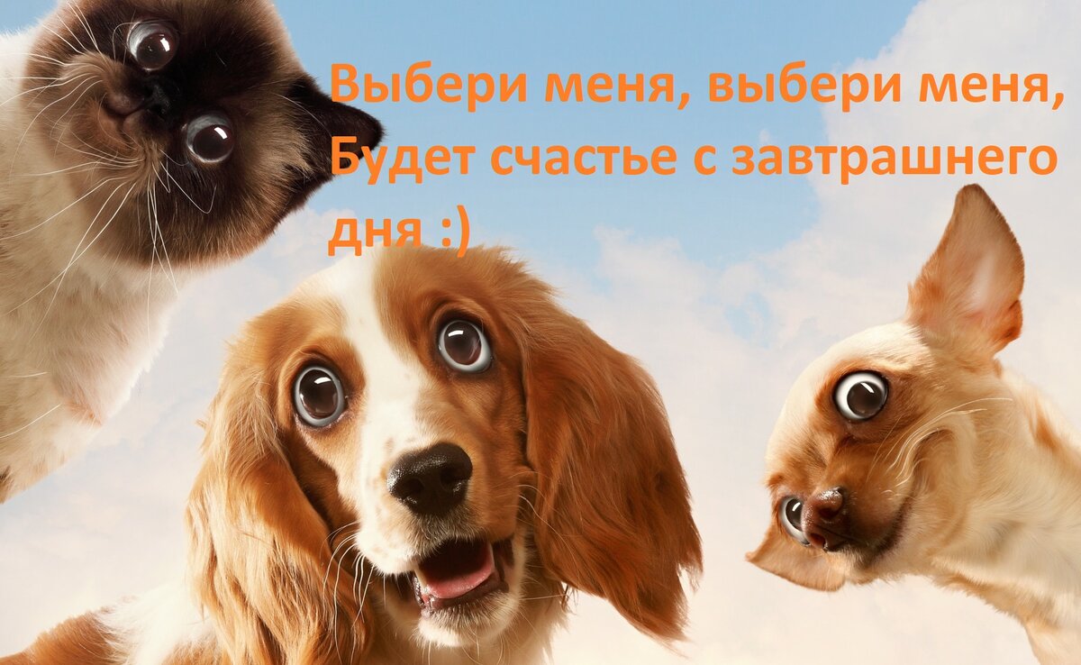 Фото из открытого источника Яндекс