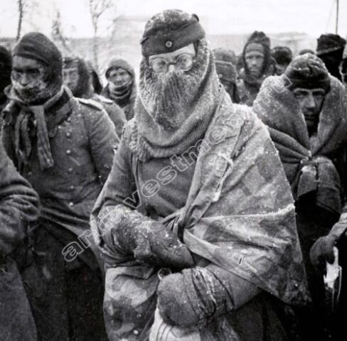 картинка из интернета