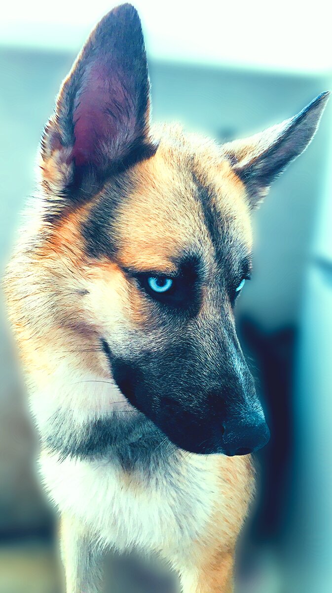 Можно мне проехать зайчиком🐇?!