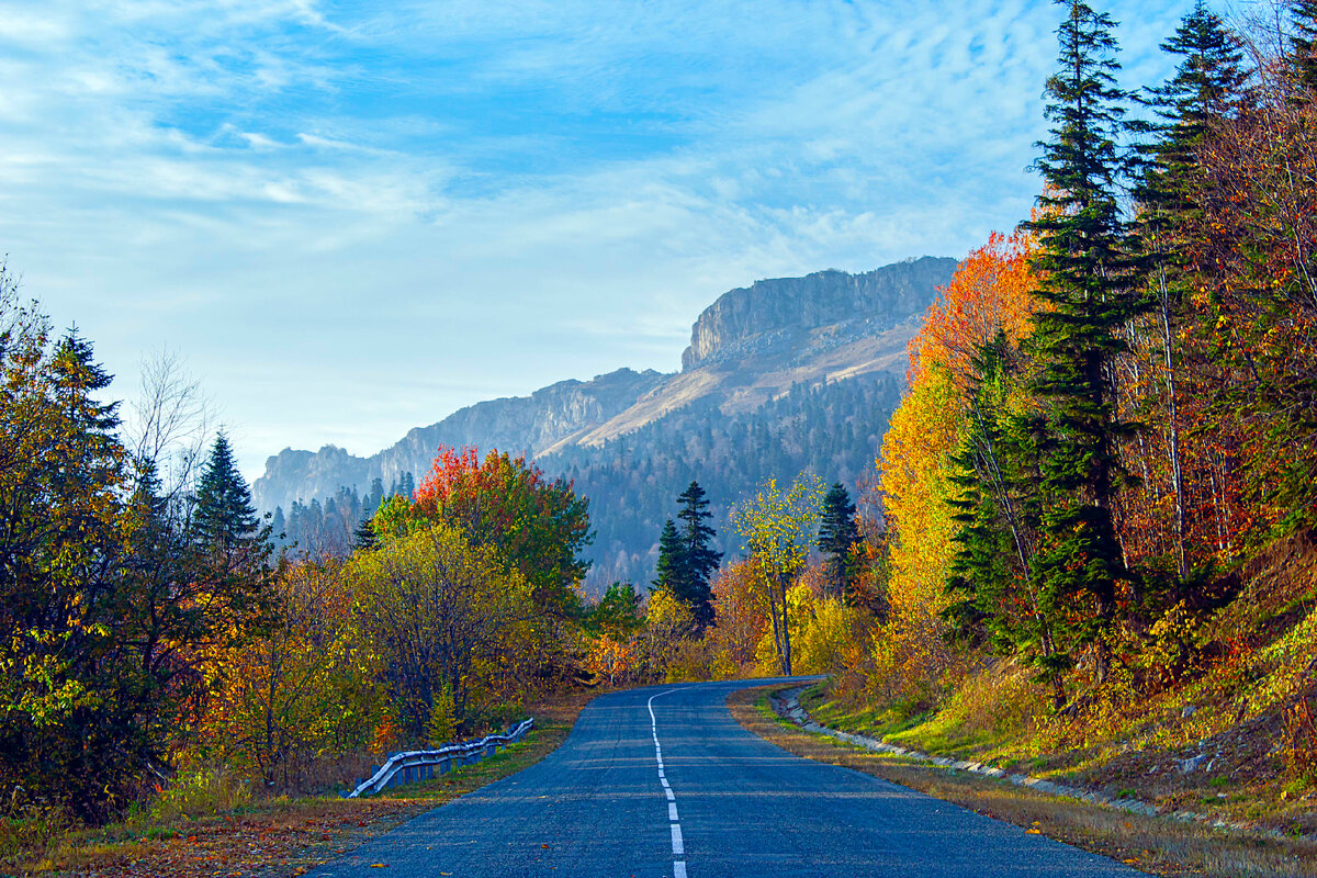 Дорога к Партизанской поляне 