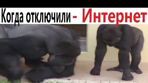 ПРИКОЛЫ! КОГДА ОТКЛЮЧИЛИ - ИНТЕРНЕТ!!! ВИДЕО - МЕМЫ, смешные истории от Доми шоу