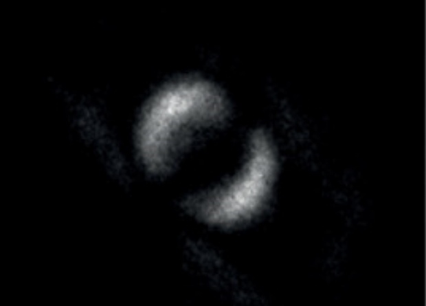Paul-Antoine Moreau et al., / Science Advances, 2019