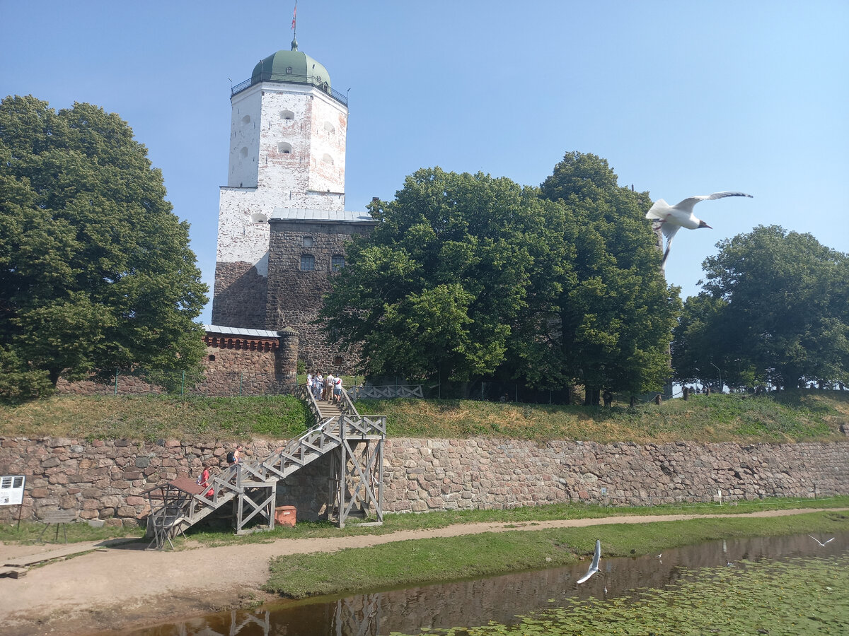 Белая башня замка- св. Олафа. Сейчас она на реконструкции 