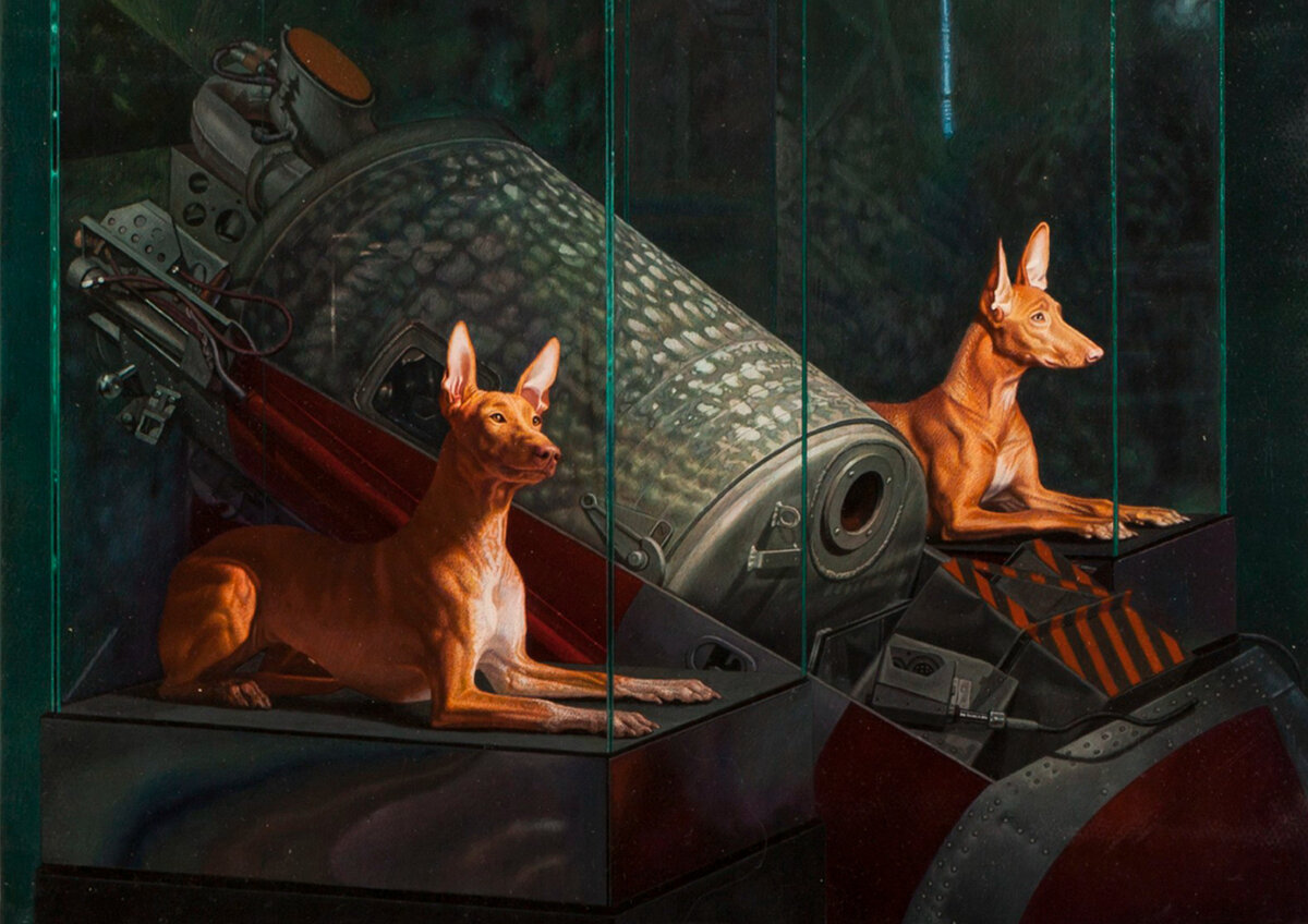 Серия «Космические музеи»