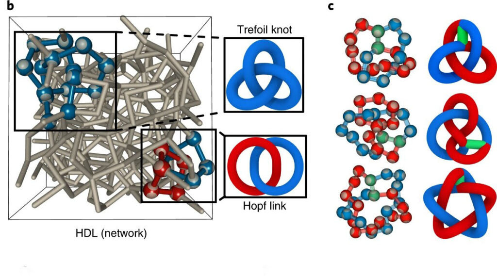 Компьютерная модель состояния воды с высокой плотностью. Изображение: Andreas Neophytou et al., Nature Physics