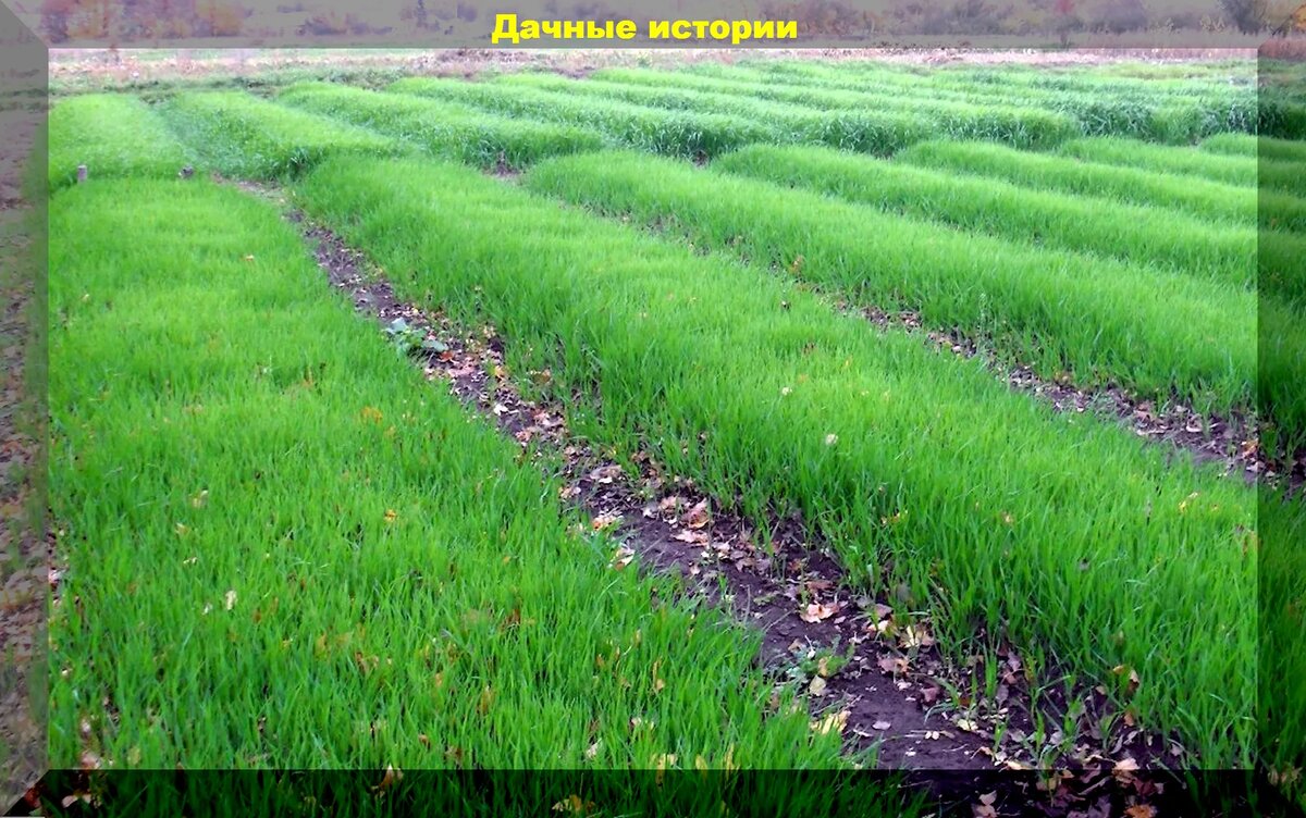 https://vk.com/photo-159774511_457255351