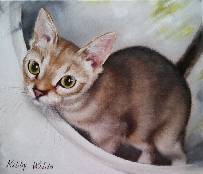 ����� ���������