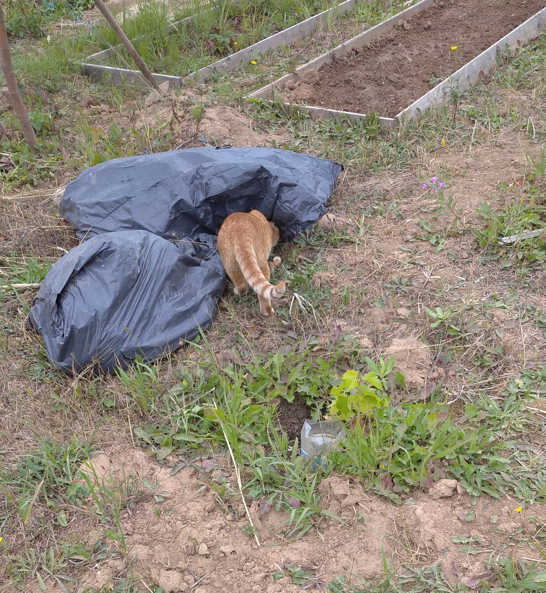 Личное  фото.