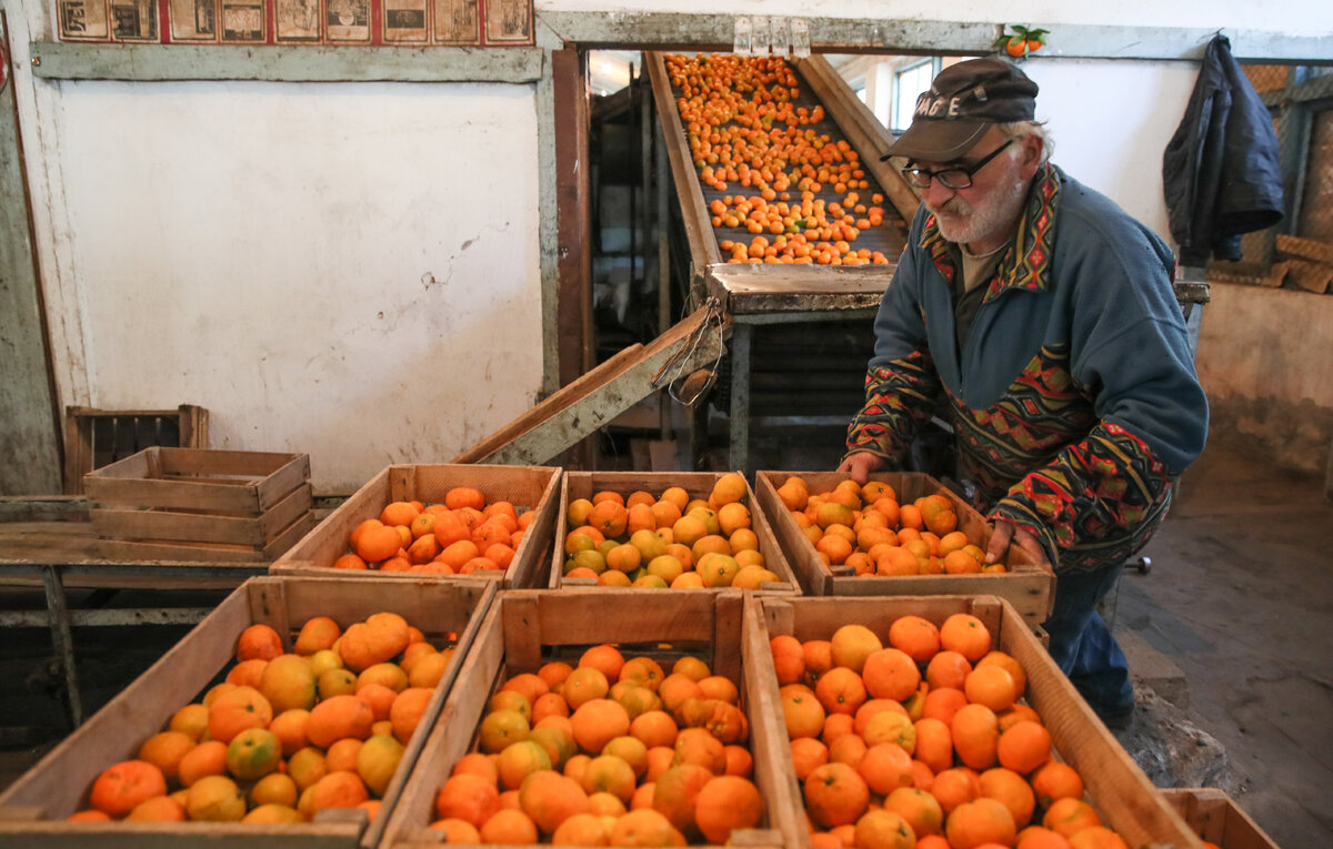 Дмитрий Феоктистов/ТАСС