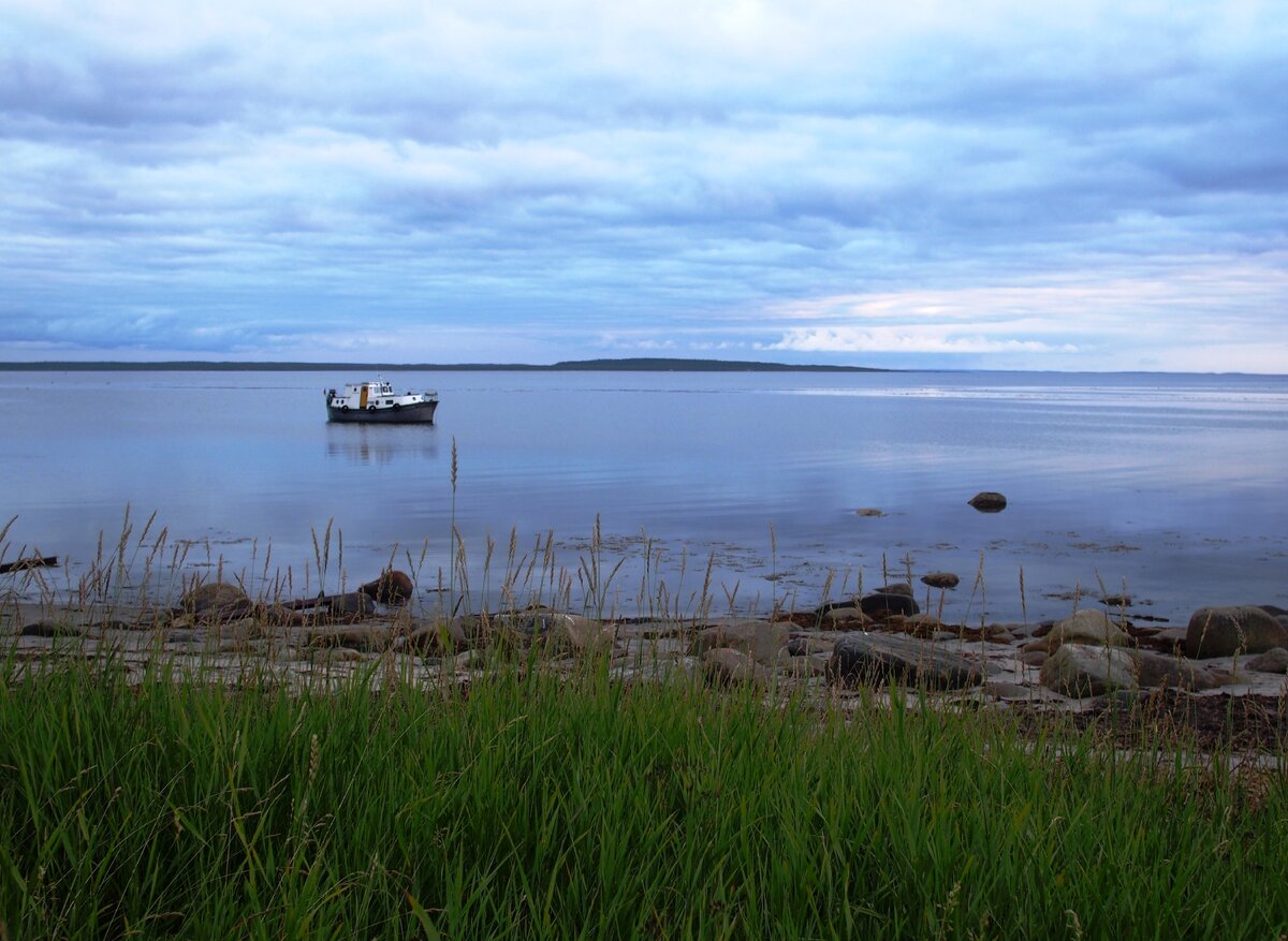 остров сосновец в белом море