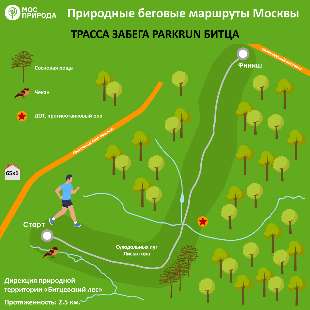 Карта для бега. Маршрут для бега в Битцевском парке. Беговые маршруты Битцевский парк. Маршруты для бега Битцевский лес. Маршрут бега.