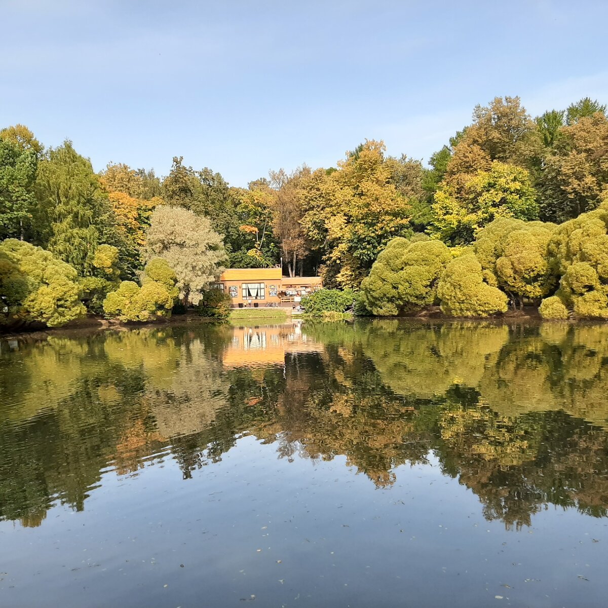 суворовский парк кунцево