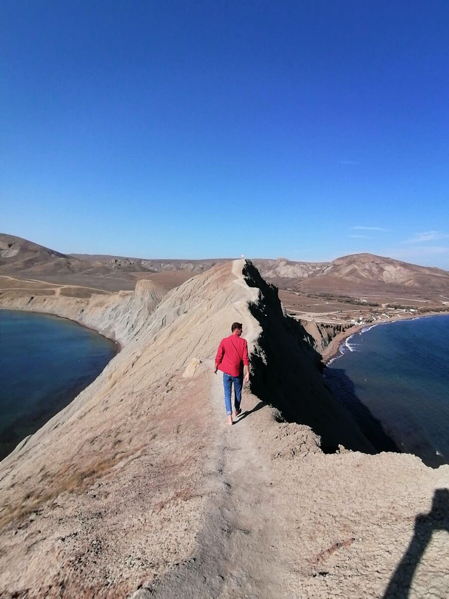 "Хребет" рептилии 