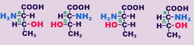  
L-треонин  D-треонин  L-аллотреонин  D-аллотреонин