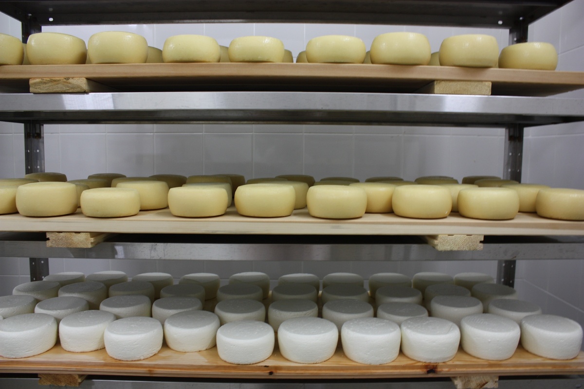 В цеху одного из производителей. The DairyNews - открытые источники