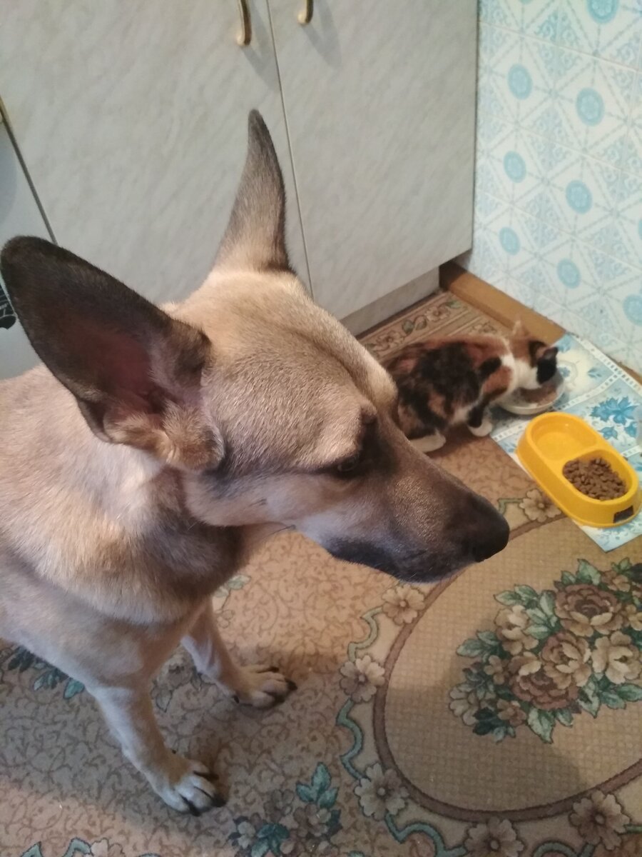 Лаки и Клеопатра