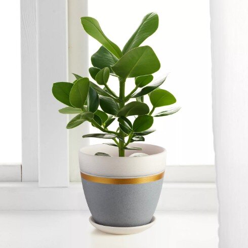 Источник фото Яндекс.Картинки