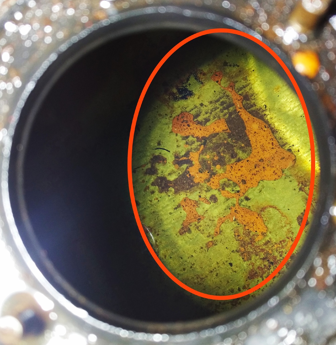 Внутренняя полость бензобака