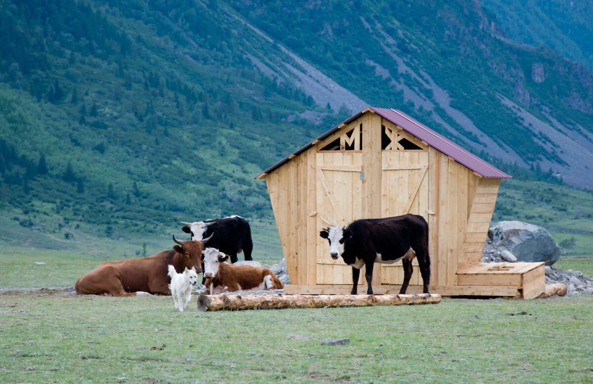 Это, можно сказать, премиальный деревянный туалет: с разделением на "М" и "Ж". Осталось только прорваться сквозь "охрану".
