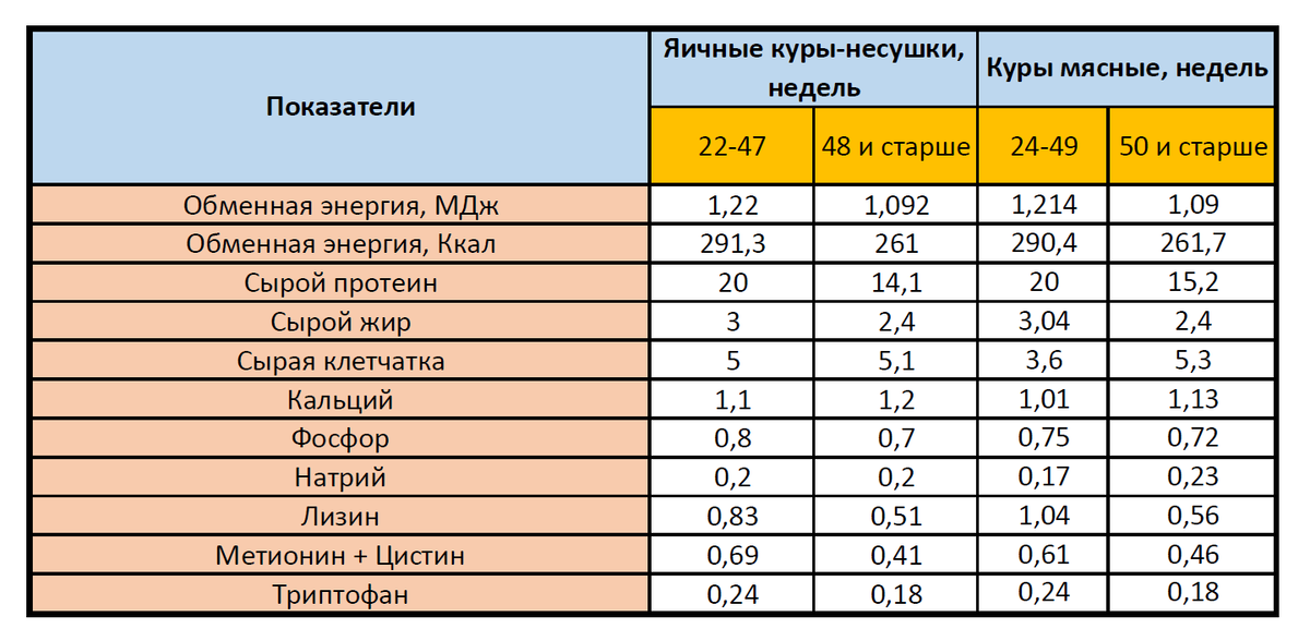 Состав корма для кур-несушек: как выбрать правильно?