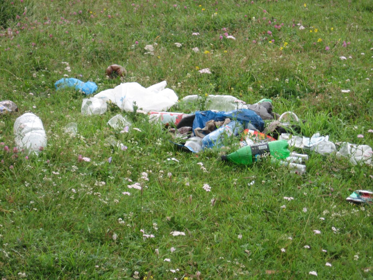 Свинство на берегу реки Урсул. Горный Алтай. Путешествие 2013 года. 