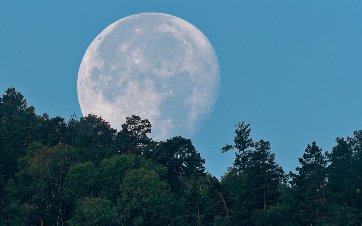 Картинка свободный доступ интернета. 