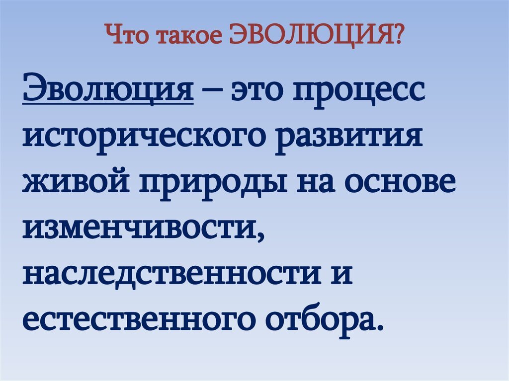 Фото из общедоступной сети Интернет