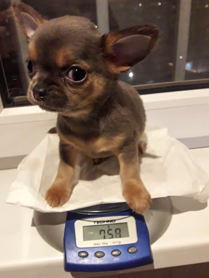 Флорида Натальевна собственной персоной