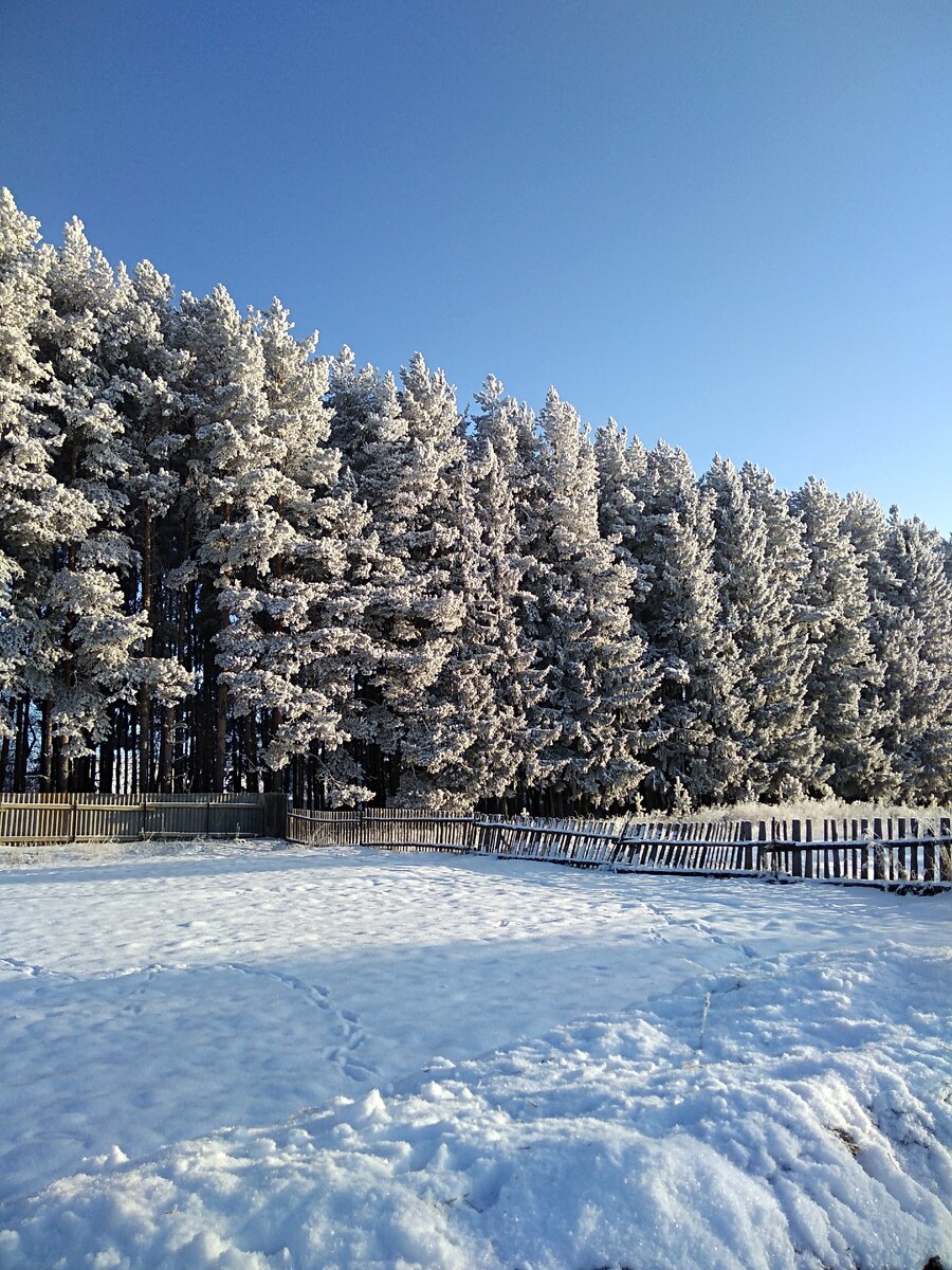 Красота рядом с домом