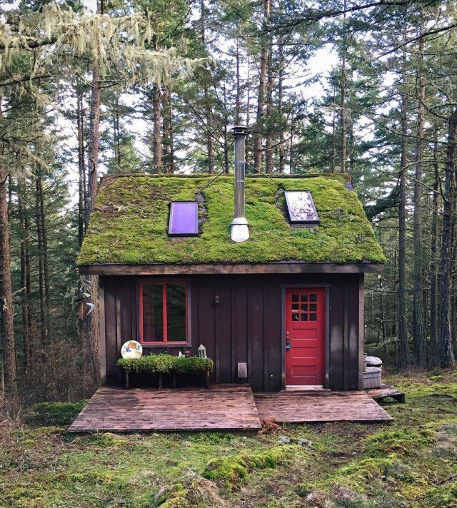 Источник-Яндекс Картинки