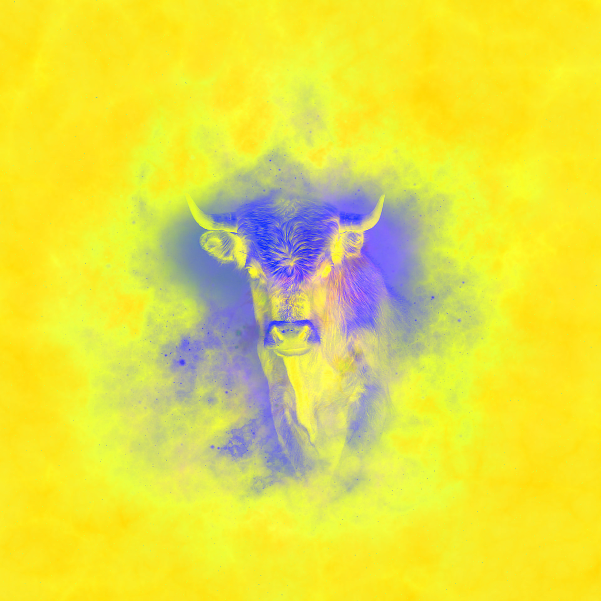 Астравидья дзен прогноз