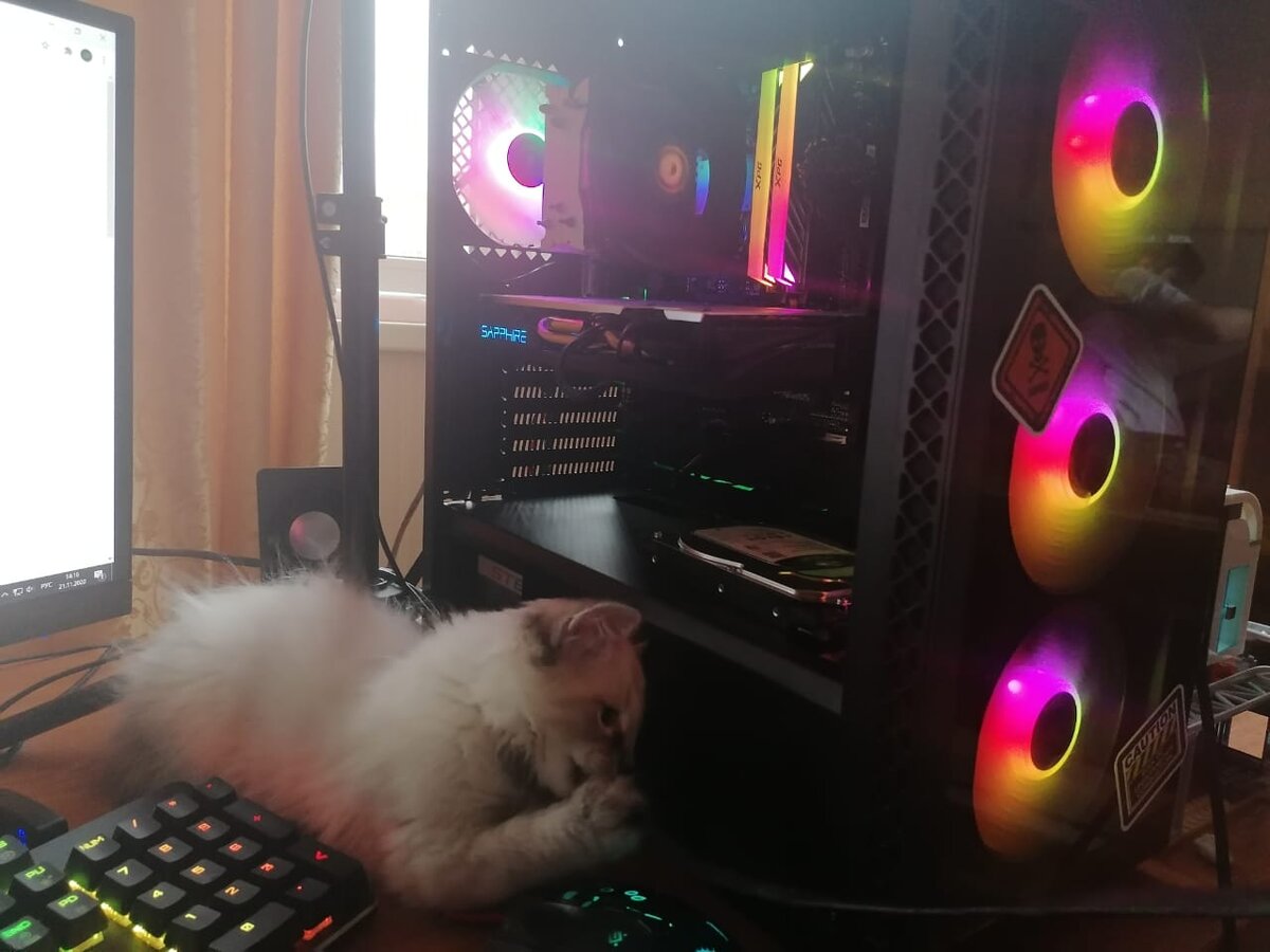 Кiт жрёт мой компьютер! А на самом деле он - милашка)