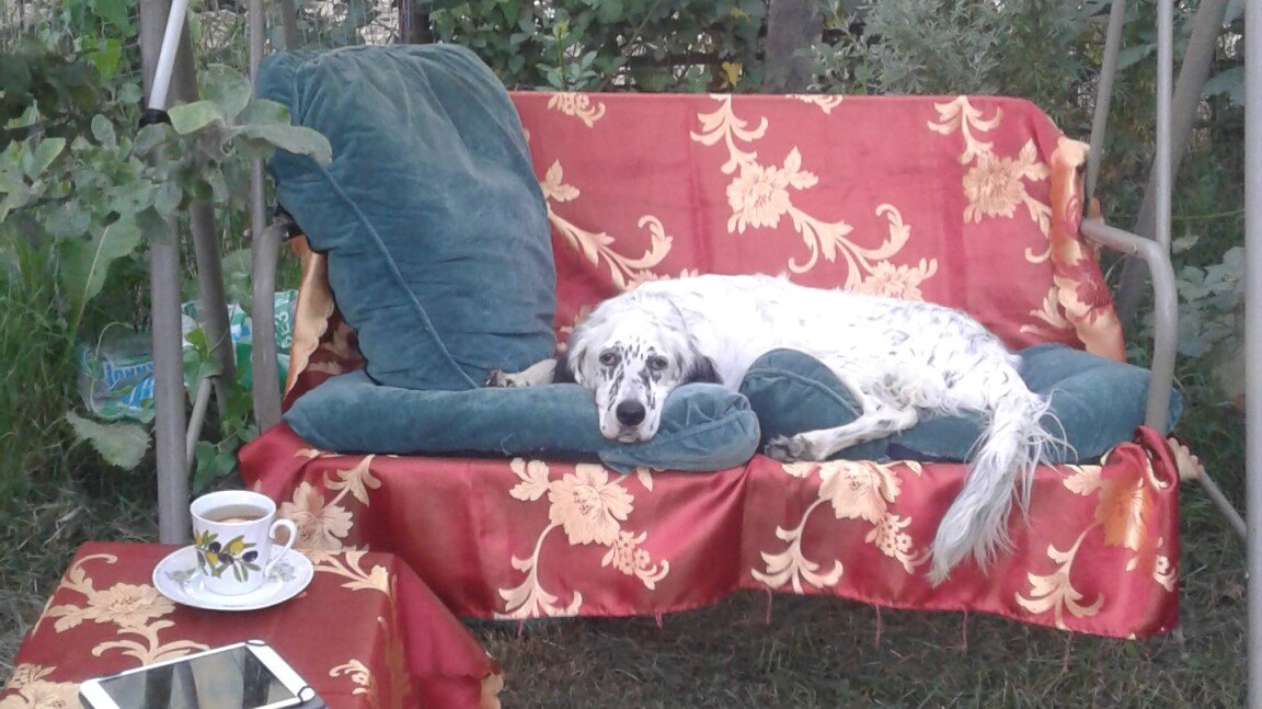 Барыня изволят отдыхать