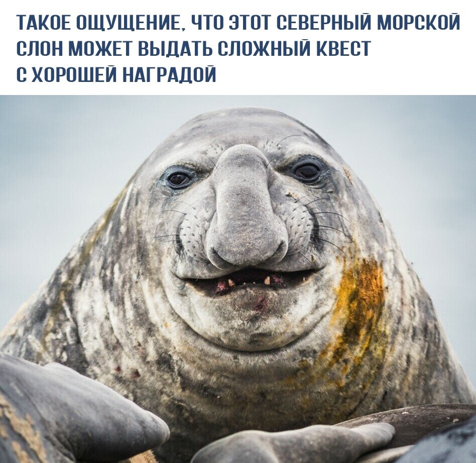 С просторов