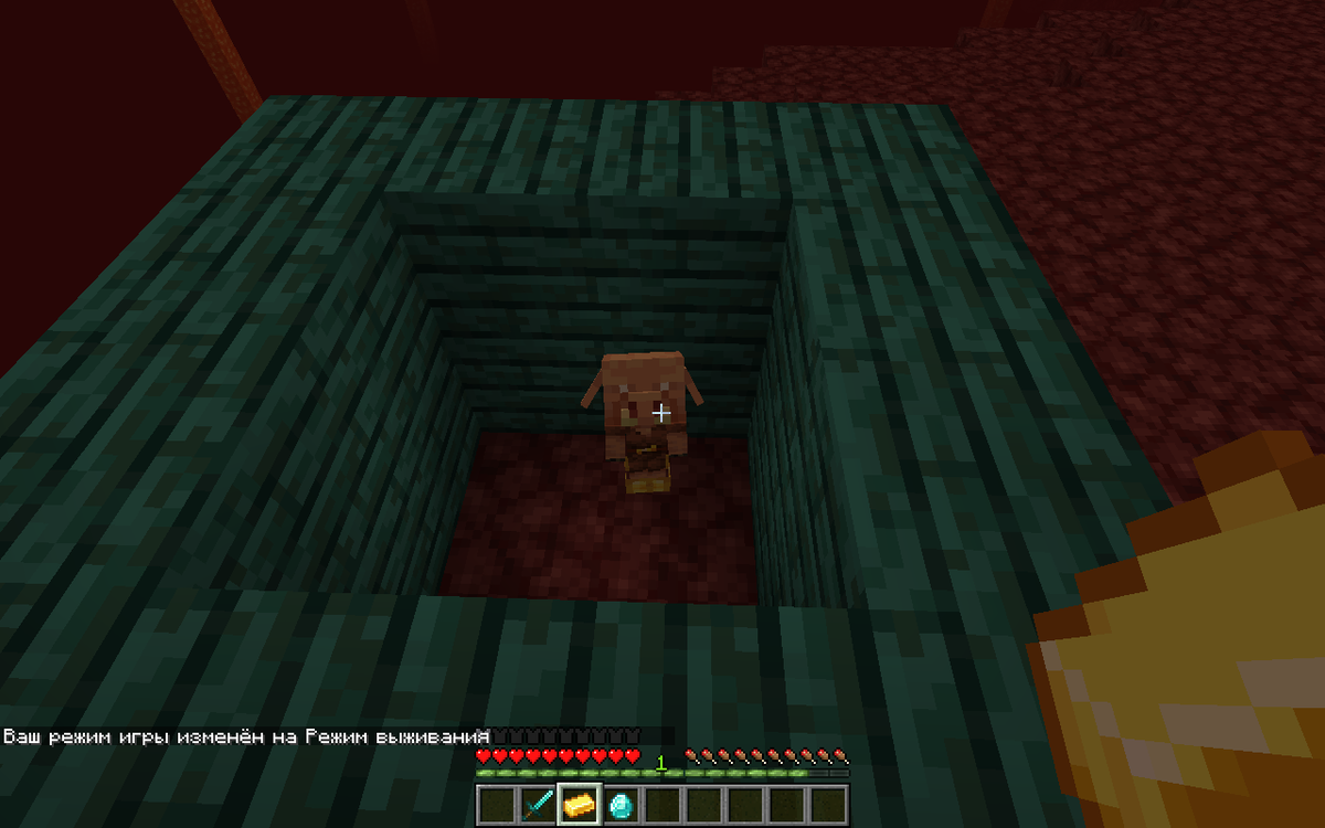 прощай братишка! :(