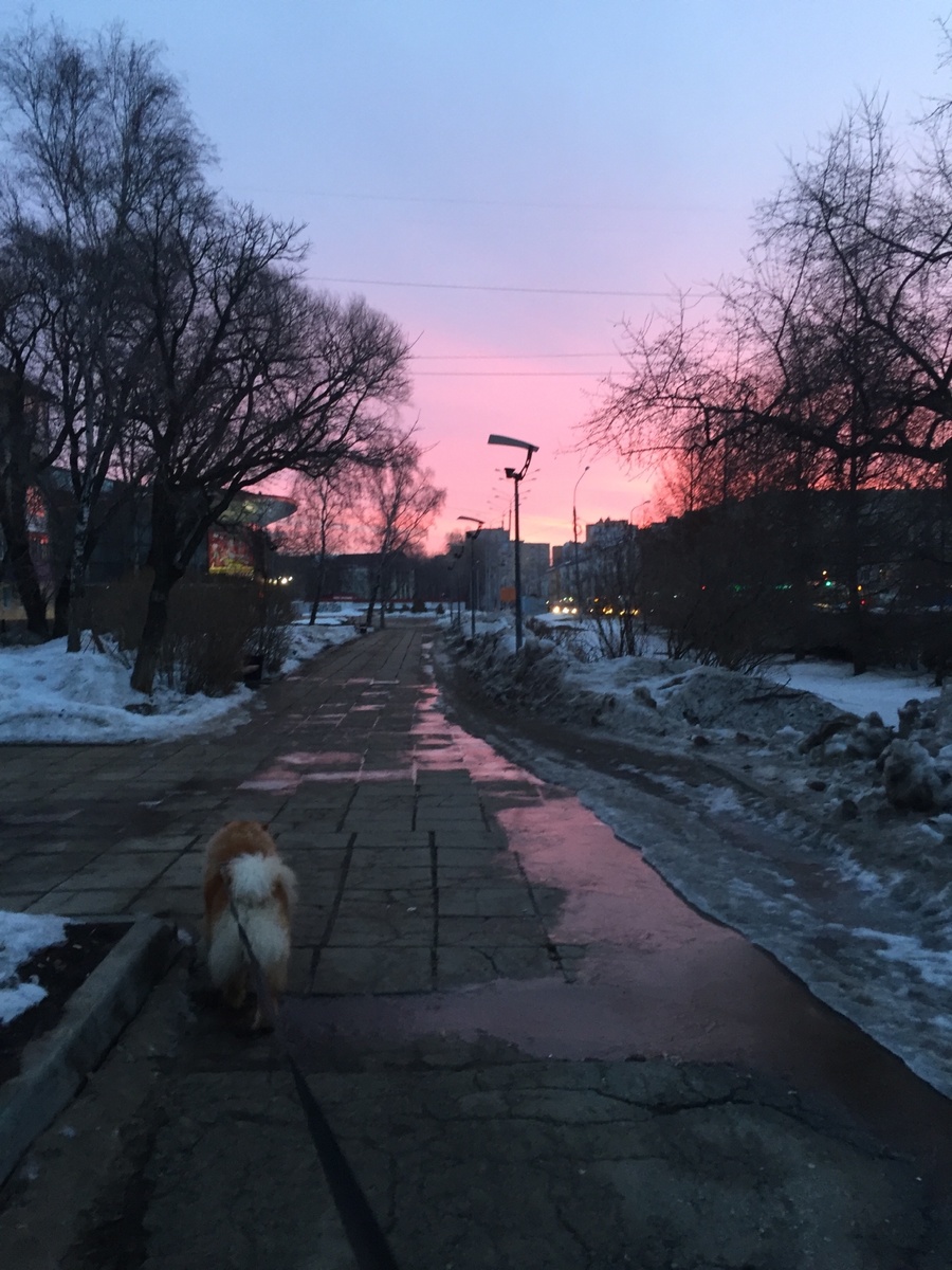 Теперь я знаю, что в 6:30 утра в марте можно увидеть потрясающий рассвет