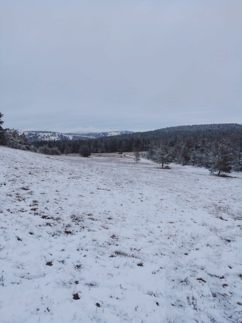 Зима на Ай-Петри // Фото пользователя Георгия Платонова в группе «Погода на Ай-Петри» в ВКонтакте 