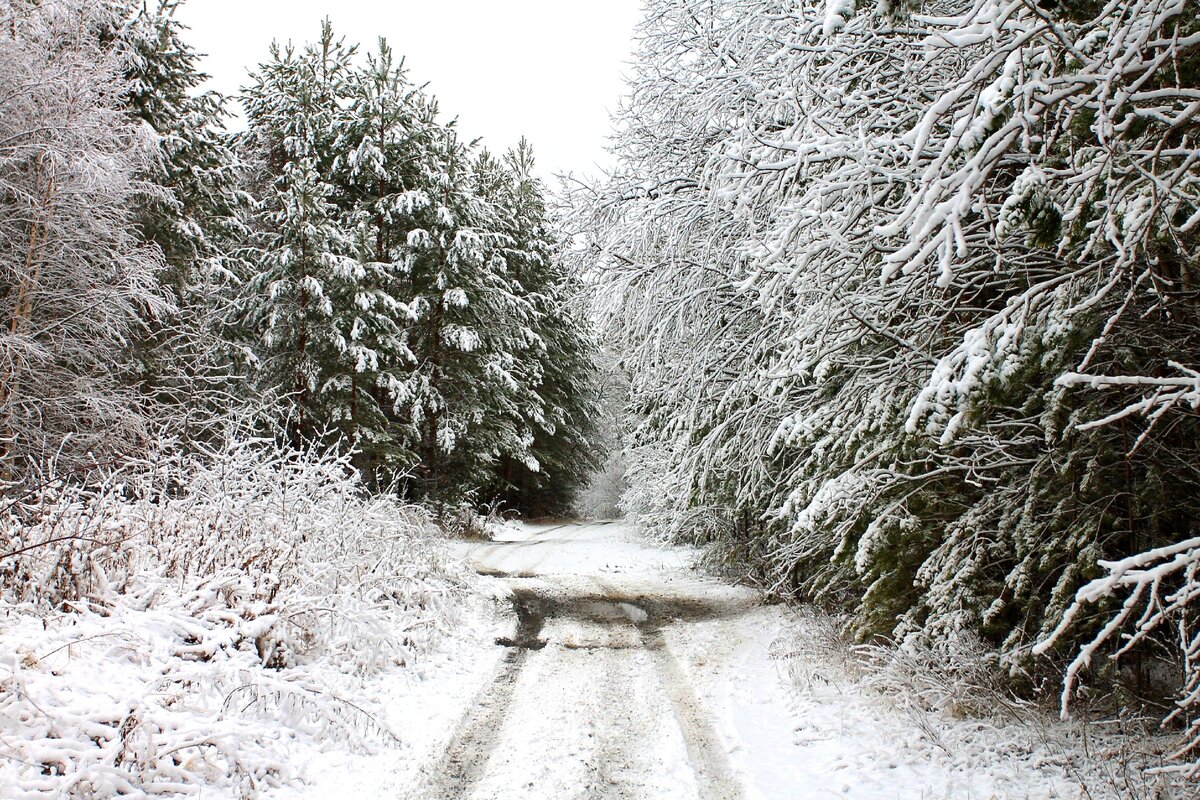 Технологическая дорога, идущая вдоль трассы водовода от ЕКАДа до Исетского озера