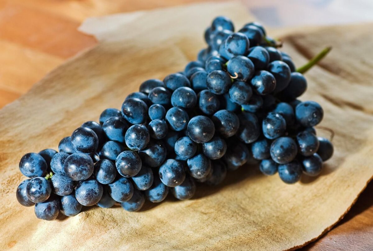Источник https://www.thespruceeats.com/thmb/n_8_oKSBhnDehLaRP5kydPPzsu4=/1280x860/filters:fill(auto,1)/157422315-56aa14855f9b58b7d000c3d5.jpg