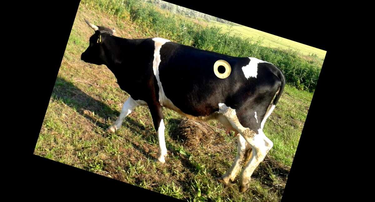 Всё встало с ног на голову.