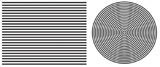 Рис. 2. Система штрихов (слева) и колец (справа) для моделирования интерференции плоских и сферических волн.