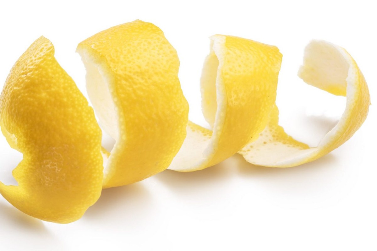 Фото: Shutterstock.com