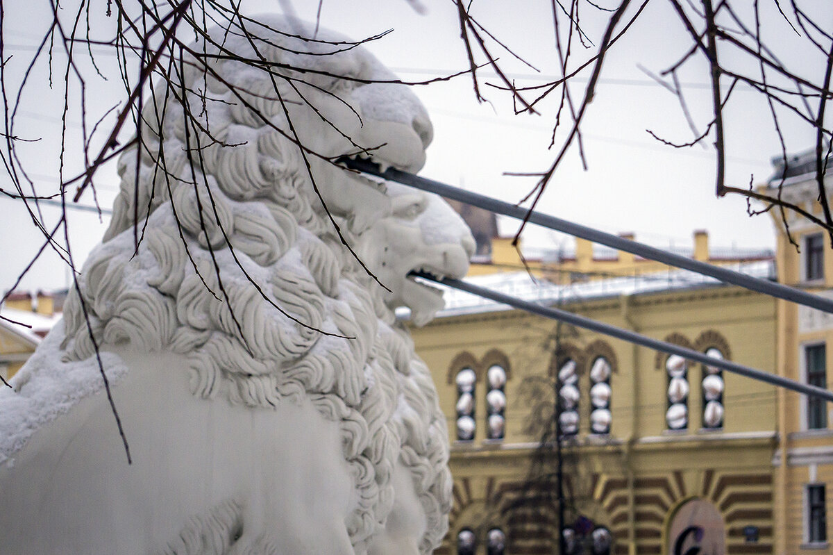 Обратите внимание на окна здания на заднем плане. Фото: В.Кононов