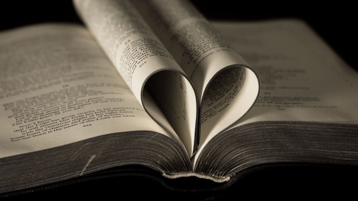 Фото взято из открытых источников интернет 