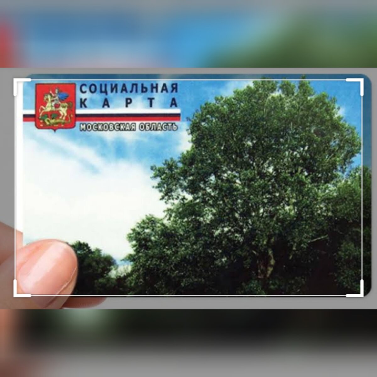 Окончание срока действия социальной карты