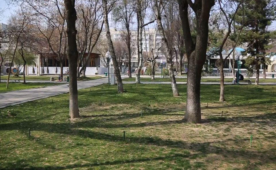 Парк возле ЦУМА Ташкент. Парк возле ЦУМ Ташкент Трампы. Парк возле ЦУМ Ташкент ьрампы. ЦУМ Ташкент Flashmob. Цум парка
