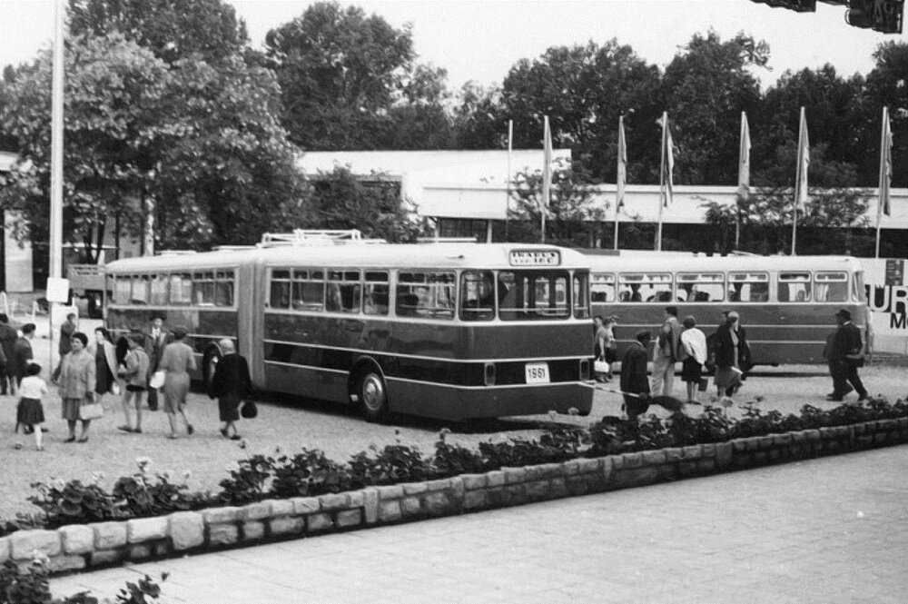 ▲ Ikarus 180.K1 и опытный образец междугороднего автобуса Ikarus 557. BNV`62