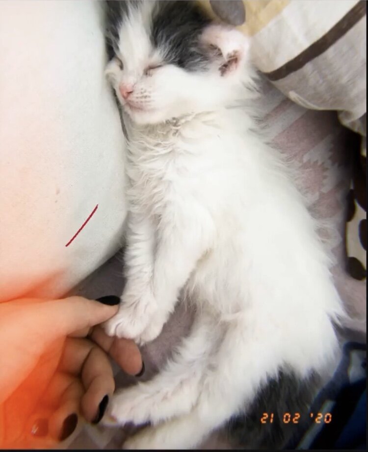 Маркус 1 месяц