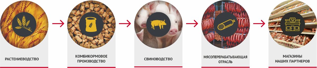 Агропромышленный холдинг "Талина": от поля до прилавка