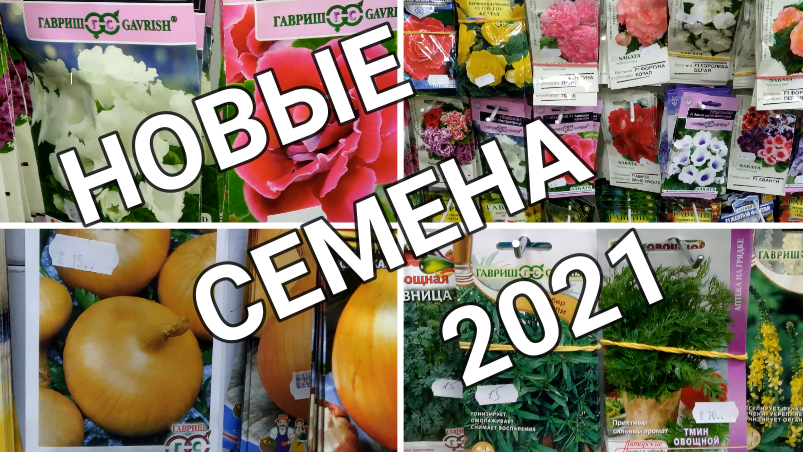 Интересные семена в ярких упаковках. 